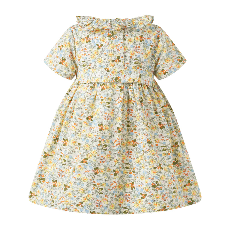 Ditsy Meadow Frill Collar Dress