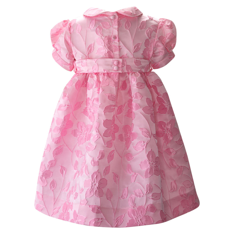 Rose Collar Damask Dress