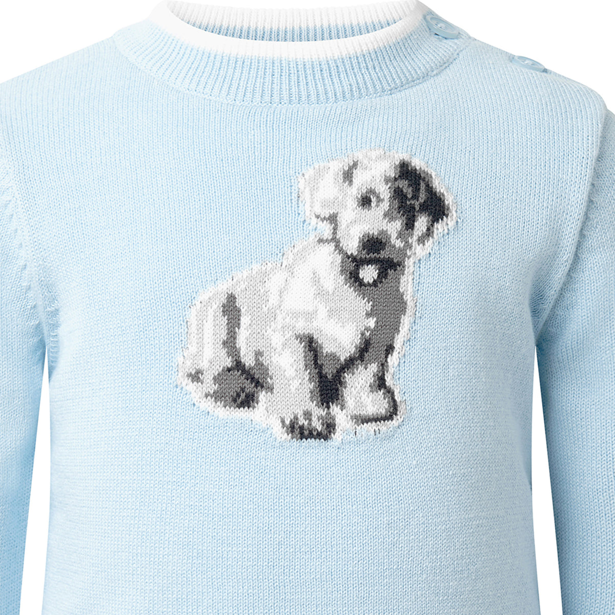 Puppy Sweater