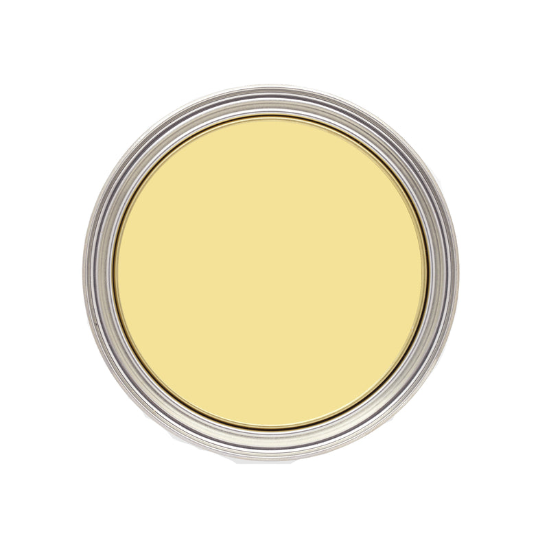 Lemon Sherbet - Radiator Paint