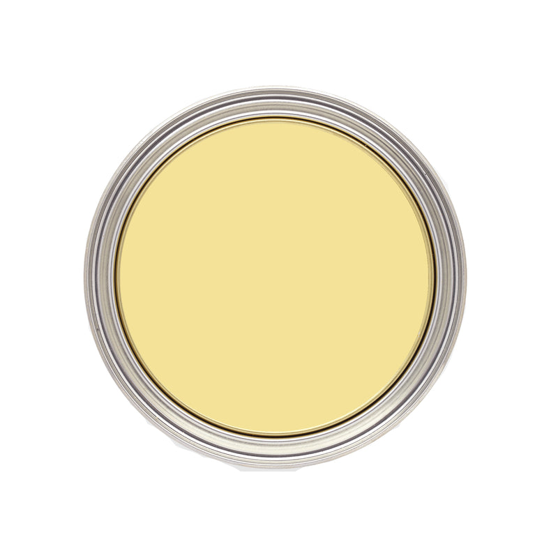 Lemon Sherbet - Paint For Walls & Ceilings