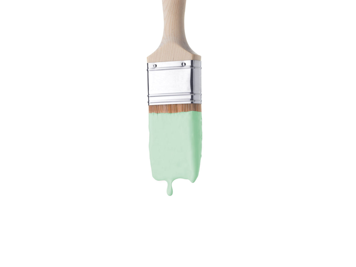 Mint Milkshake - Paint For Walls & Ceilings (Copy) 1 (Copy)