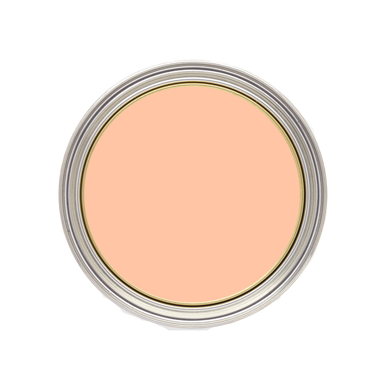 Peaches & Cream - Radiator Paint
